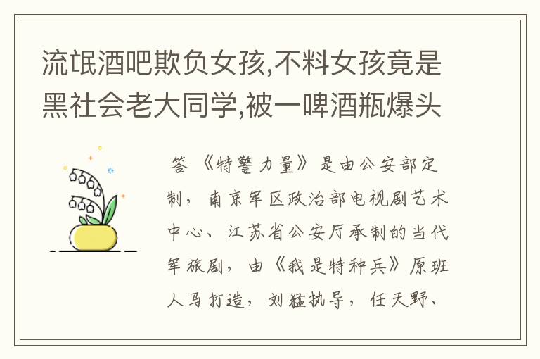 流氓酒吧欺负女孩,不料女孩竟是黑社会老大同学,被一啤酒瓶爆头、叫什么电视剧