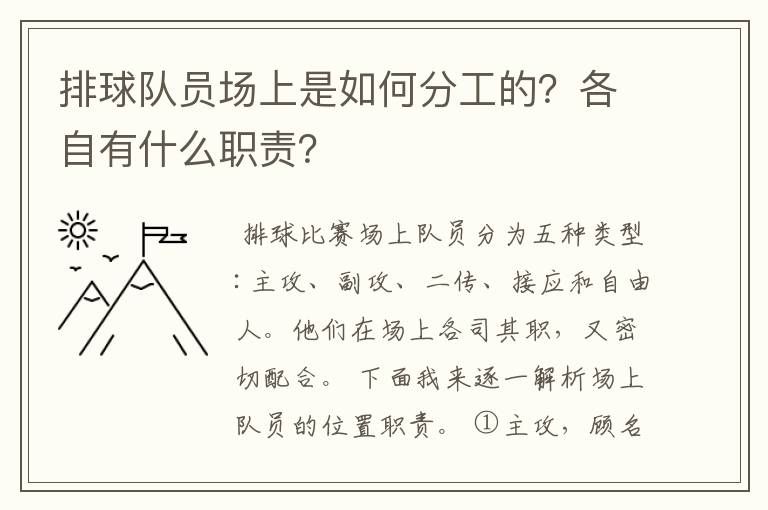 排球队员场上是如何分工的?各自有什么职责?
