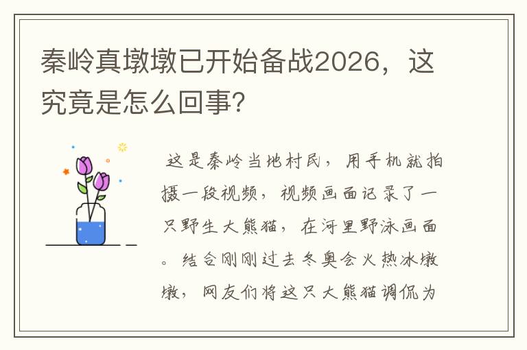 秦岭真墩墩已开始备战2026，这究竟是怎么回事？