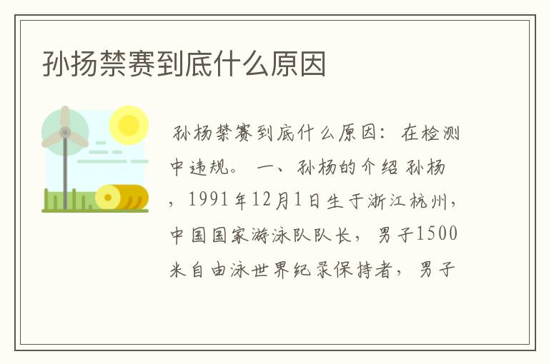 孙扬禁赛到底什么原因
