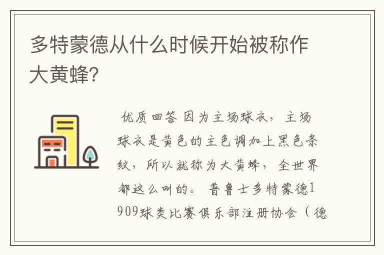 多特蒙德从什么时候开始被称作大黄蜂?