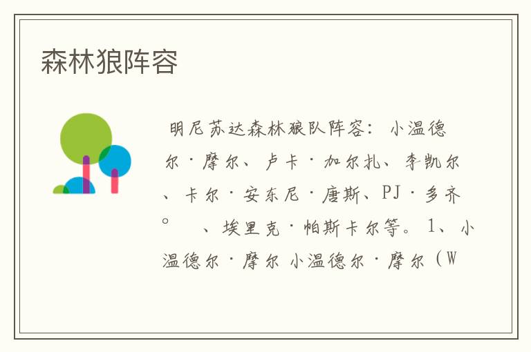 森林狼阵容