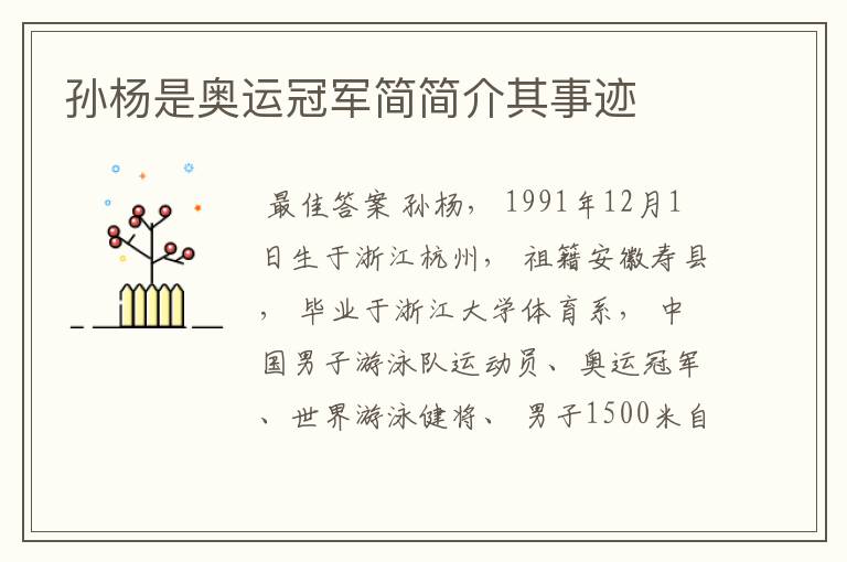 孙杨是奥运冠军简简介其事迹