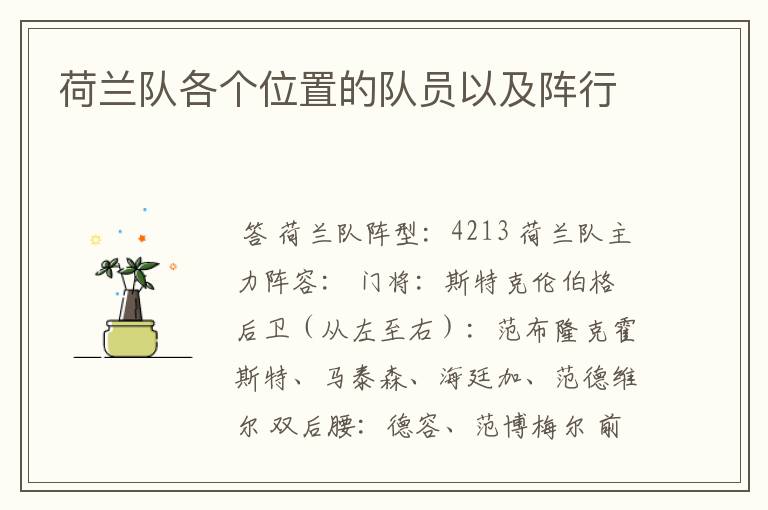 荷兰队各个位置的队员以及阵行