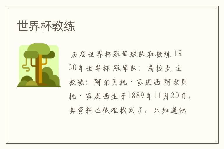 世界杯教练