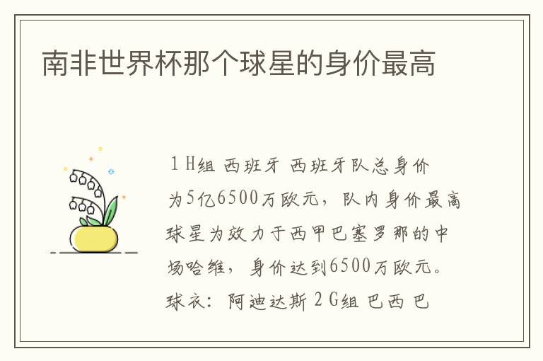 南非世界杯那个球星的身价最高
