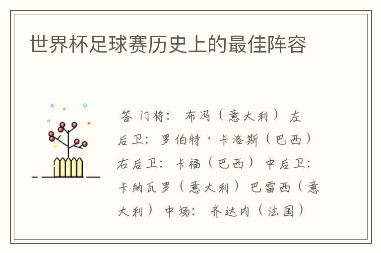 世界杯足球赛历史上的最佳阵容