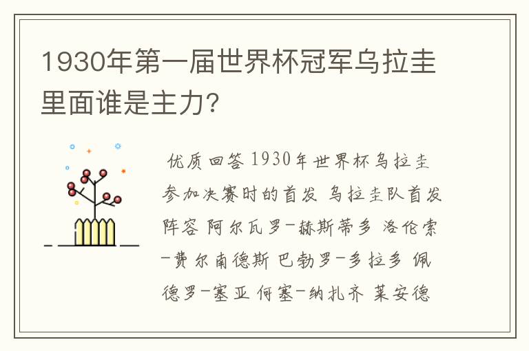 1930年第一届世界杯冠军乌拉圭里面谁是主力?