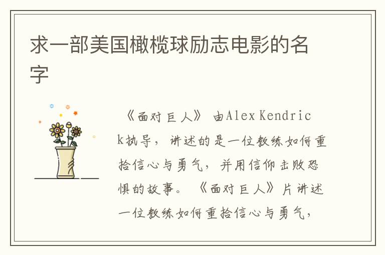 求一部美国橄榄球励志电影的名字