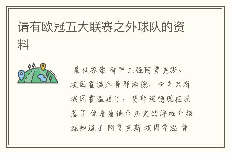 请有欧冠五大联赛之外球队的资料
