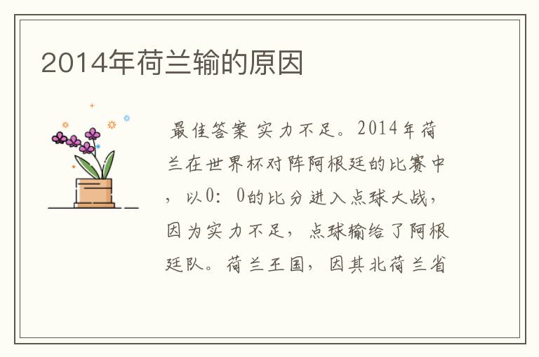 2014年荷兰输的原因
