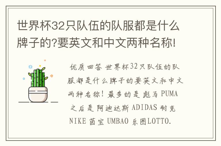 世界杯32只队伍的队服都是什么牌子的?要英文和中文两种名称!