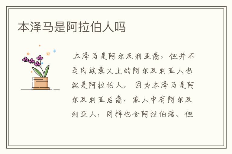 本泽马是阿拉伯人吗