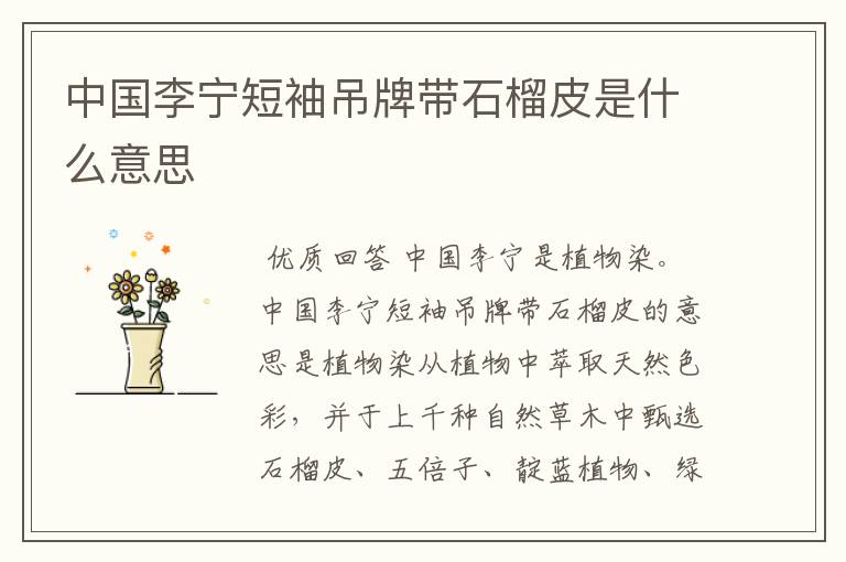 中国李宁短袖吊牌带石榴皮是什么意思