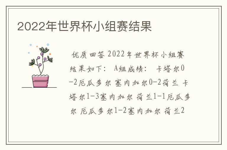2022年世界杯小组赛结果