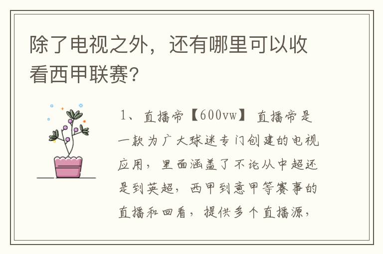 除了电视之外,还有哪里可以收看西甲联赛?