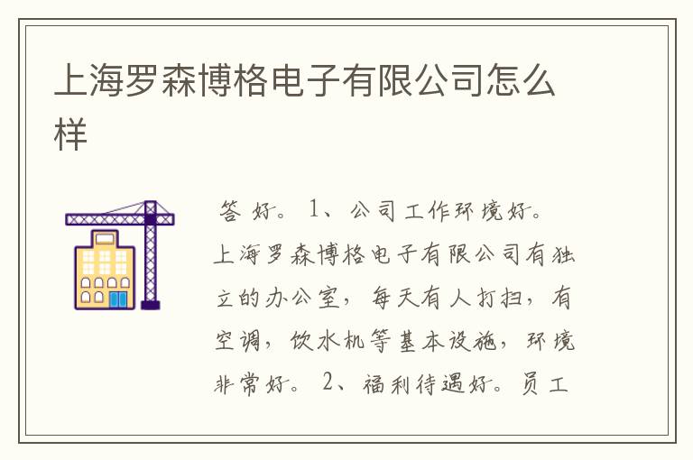 上海罗森博格电子有限公司怎么样