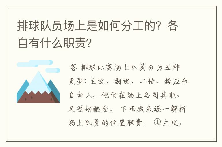排球队员场上是如何分工的?各自有什么职责?