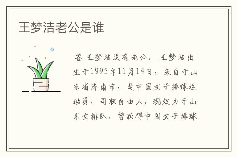 王梦洁老公是谁
