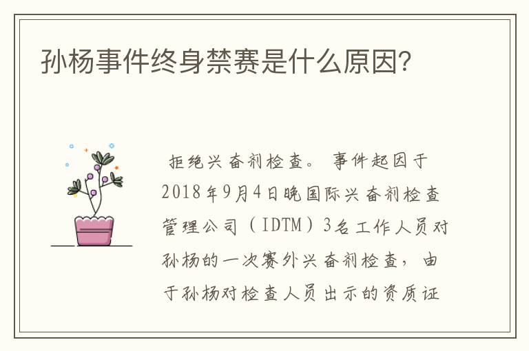 孙杨事件终身禁赛是什么原因?