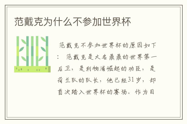 范戴克为什么不参加世界杯
