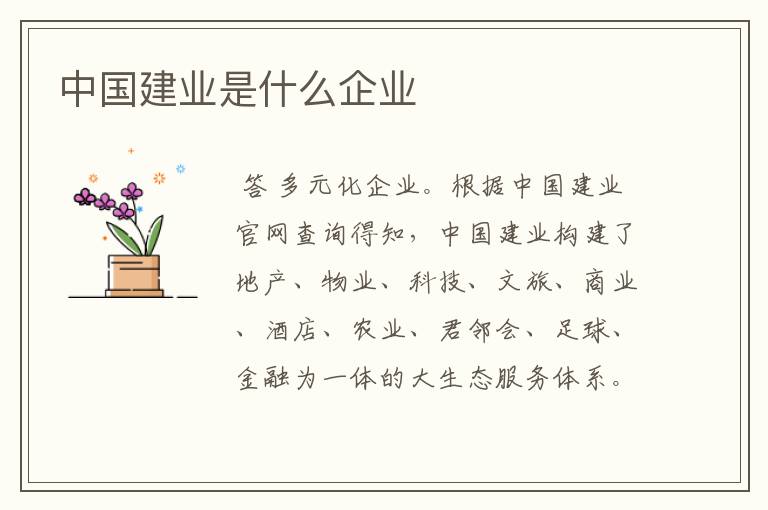 中国建业是什么企业
