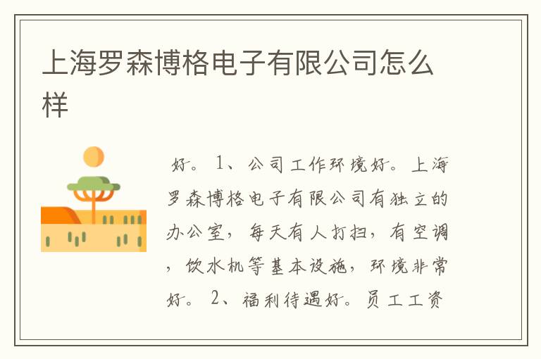 上海罗森博格电子有限公司怎么样