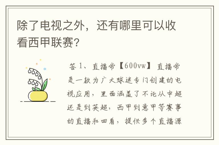 除了电视之外,还有哪里可以收看西甲联赛?