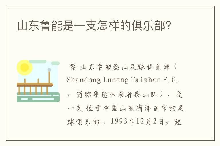 山东鲁能是一支怎样的俱乐部?