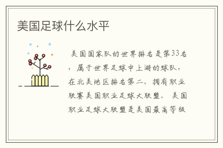 美国足球什么水平