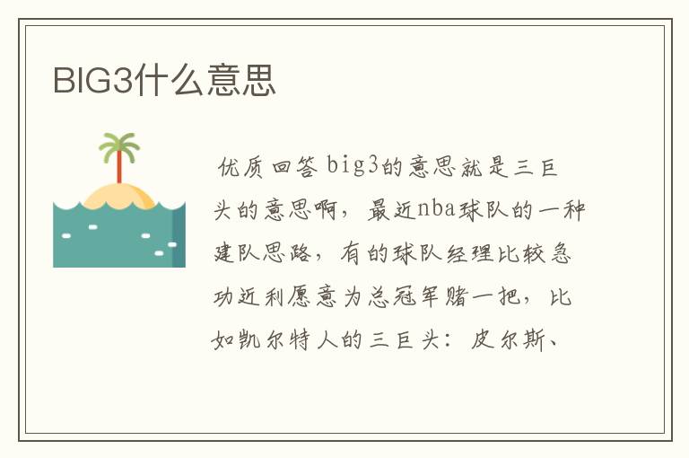 BIG3什么意思