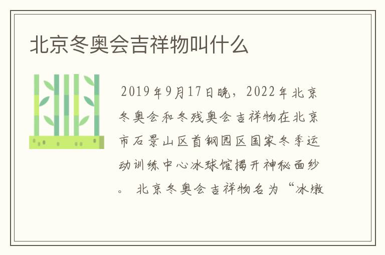 北京冬奥会吉祥物叫什么