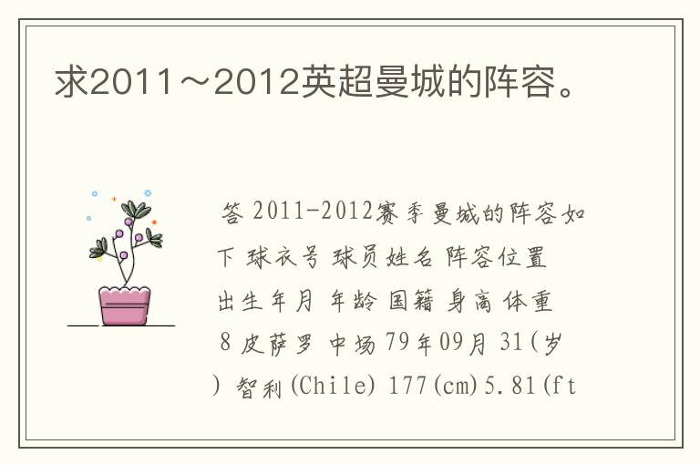 求2011~2012英超曼城的阵容。