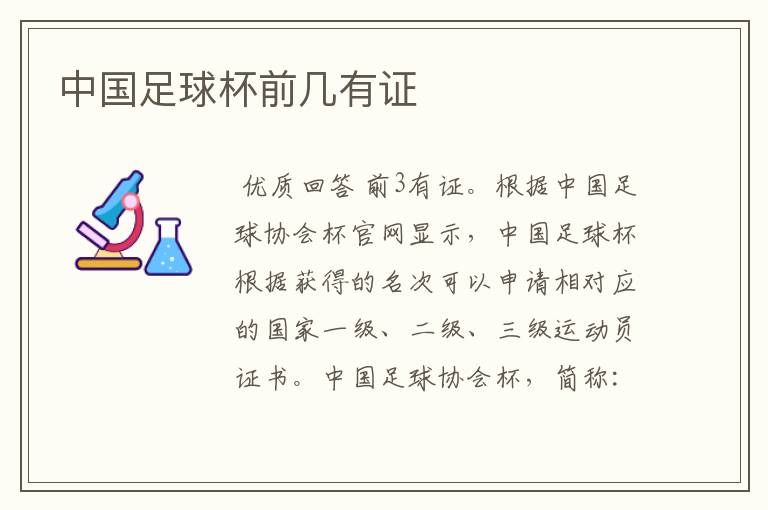 中国足球杯前几有证