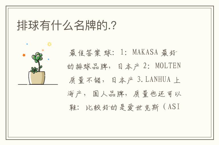 排球有什么名牌的.?