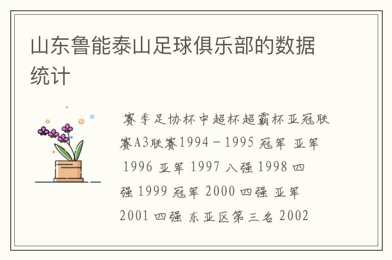 山东鲁能泰山足球俱乐部的数据统计