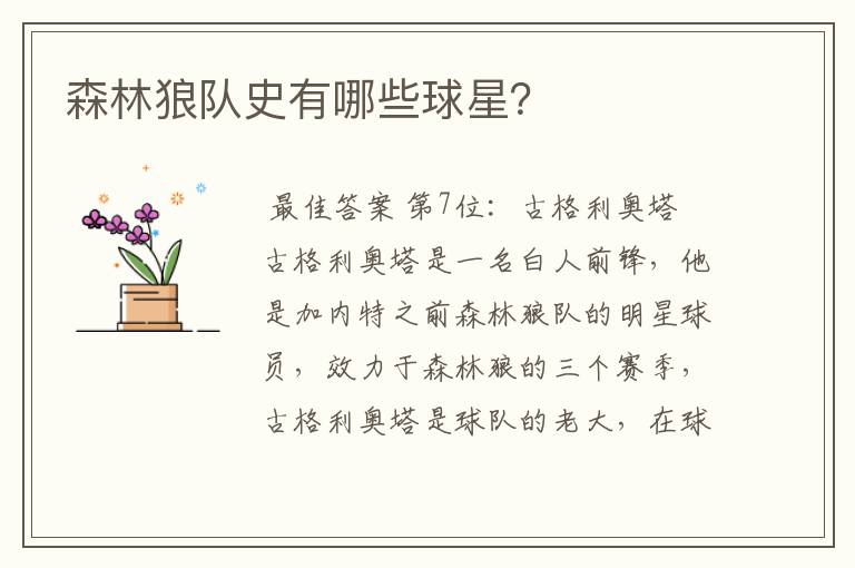 森林狼队史有哪些球星？