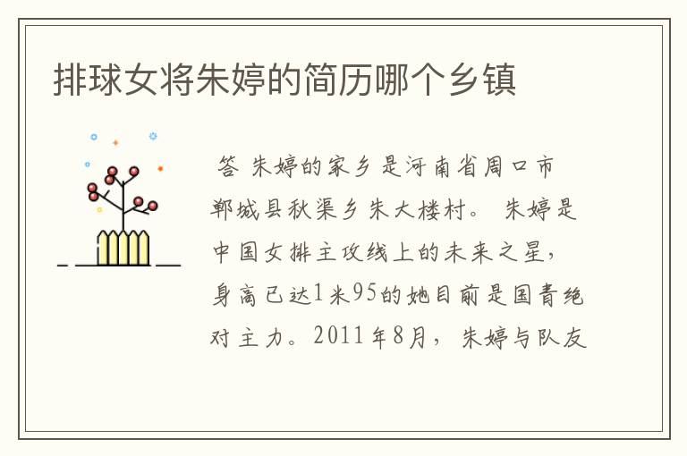 排球女将朱婷的简历哪个乡镇