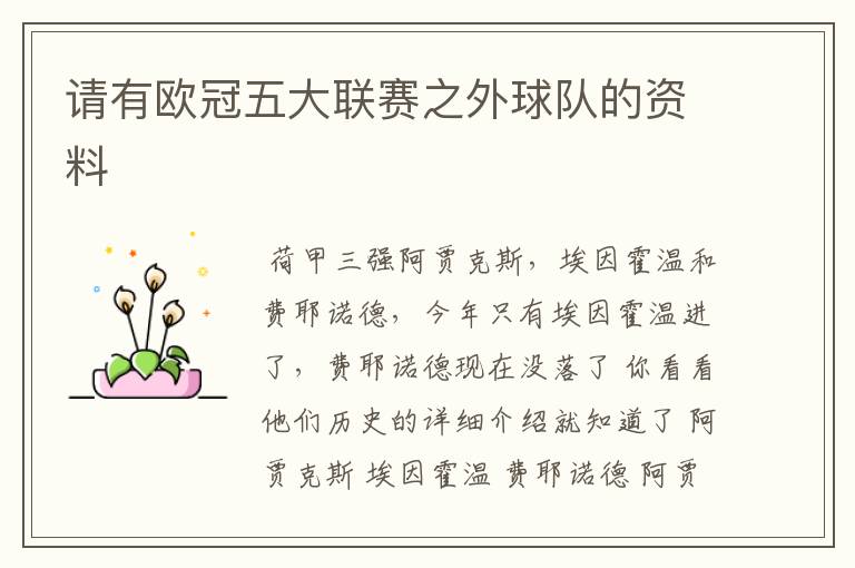 请有欧冠五大联赛之外球队的资料