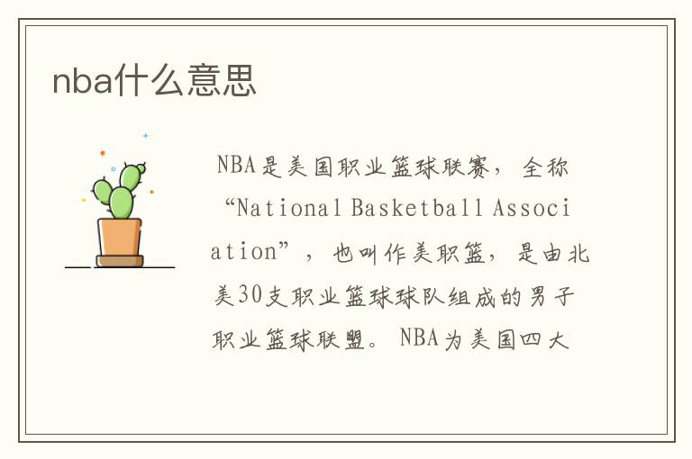 nba什么意思