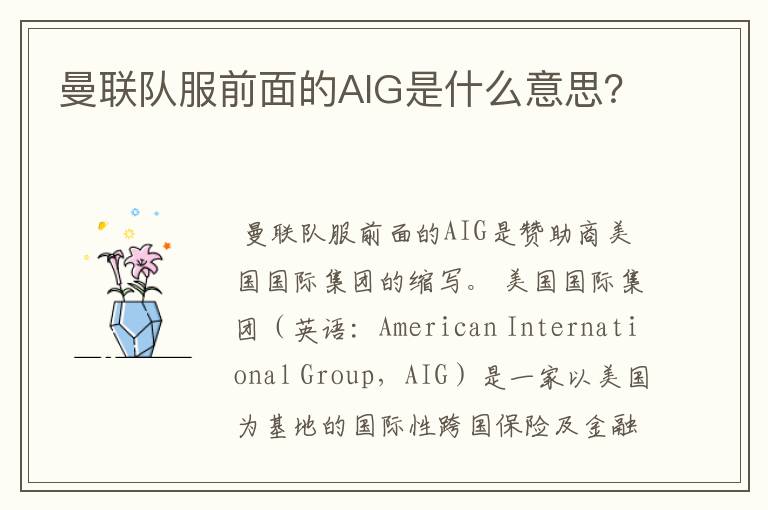 曼联队服前面的AIG是什么意思?