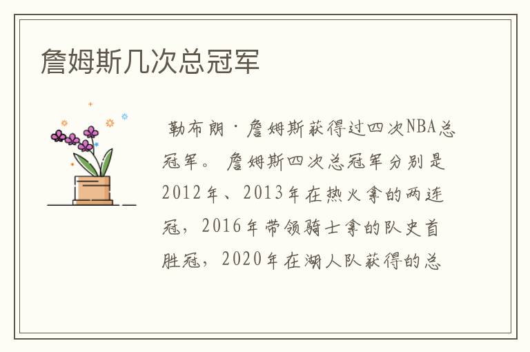 詹姆斯几次总冠军