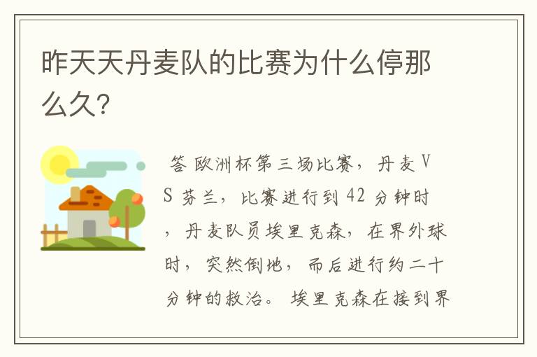 昨天天丹麦队的比赛为什么停那么久?