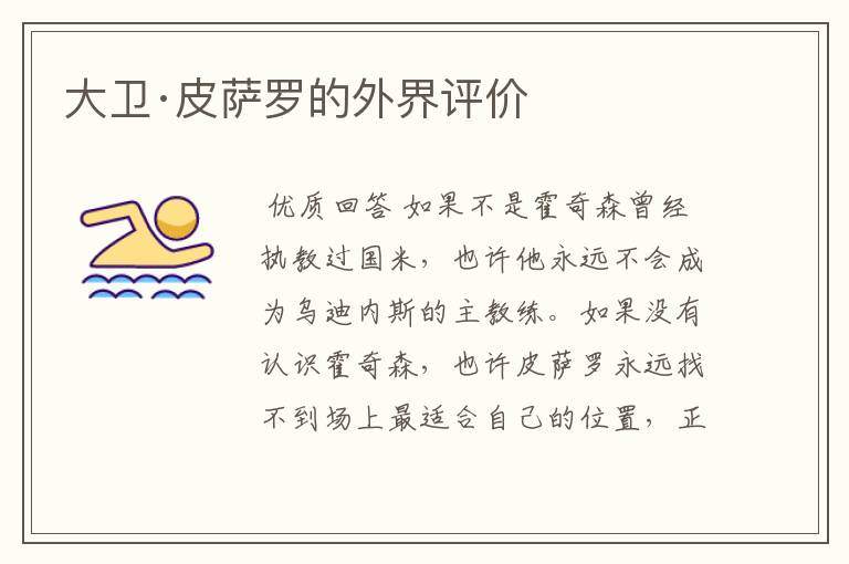 大卫·皮萨罗的外界评价