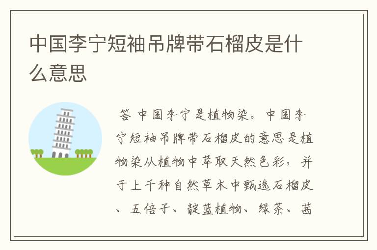 中国李宁短袖吊牌带石榴皮是什么意思