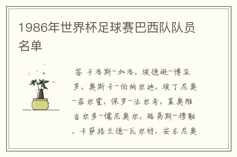 1986年世界杯足球赛巴西队队员名单