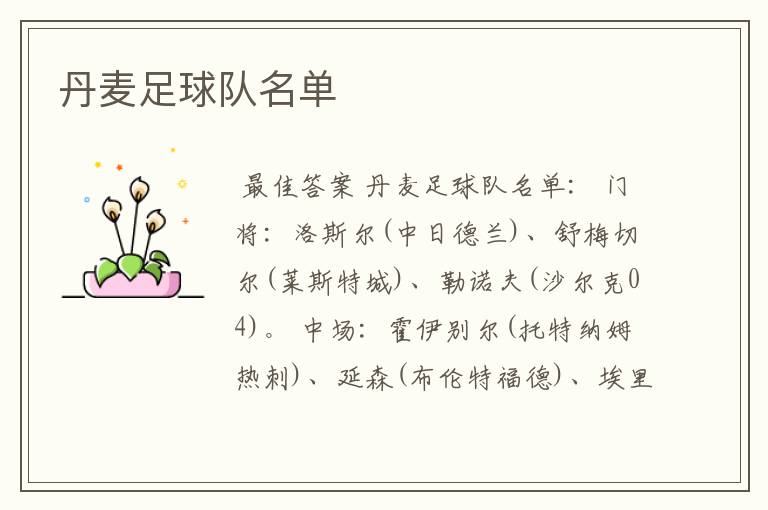 丹麦足球队名单