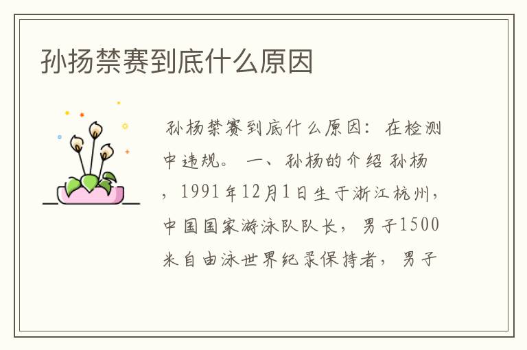 孙扬禁赛到底什么原因