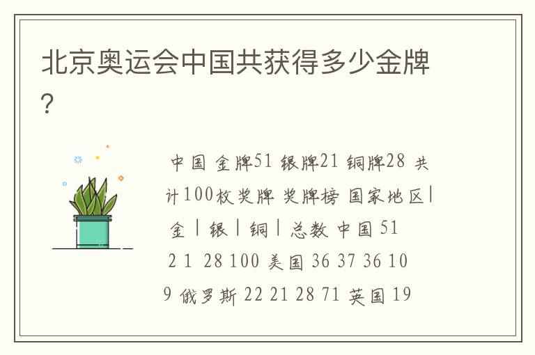 北京奥运会中国共获得多少金牌?