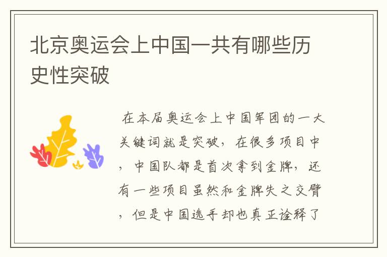 北京奥运会上中国一共有哪些历史性突破